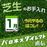 店長直伝！だれでも簡単！芝生のお手入れ　1月