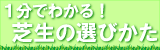 １分でわかる！芝生の選びかた