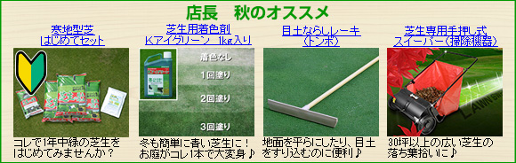 店長 秋のオススメ