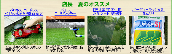 店長 夏のオススメ