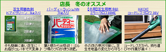 店長 冬のオススメ