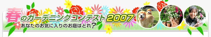 t̃K[fjOReXg2007ʔ\
