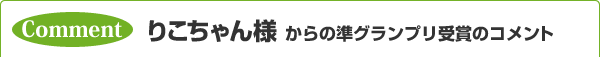 Comment 肱l ̏Ov܂̃Rg