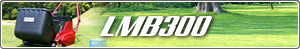 LMB300