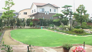 Ov