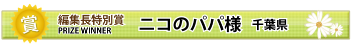 ҏWʏ܁I jR̃ppl t
