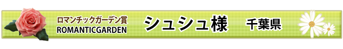 }`bNK[f܁I VVl t