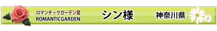 }`bNK[f܁I Vl _ސ쌧