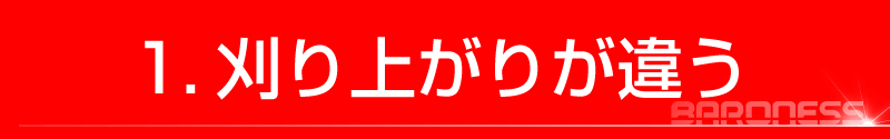 芝刈り機　芝刈機　バロネス　LM4D