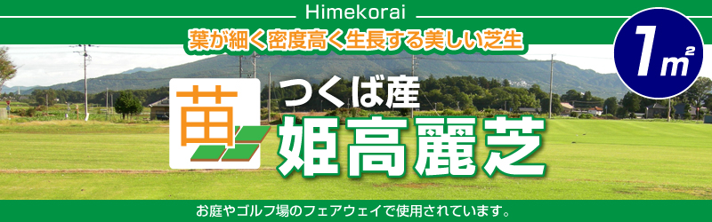 22年販売なし 産地直送 代引不可 姫高麗芝 張り芝用 つくば産 １平米 0 3坪分 園芸 つくば産 芝生のことならバロネスダイレクト