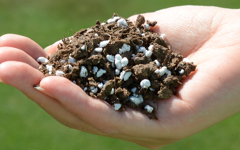 ピートモス（泥炭）とパーライトは主に保水性を改善する資材として政令指定の土壌改良資材に認定されています。
