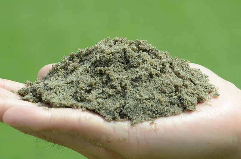 洗砂】グリーンづくりにコレがいい！バロネス 芝生の目砂・床砂 10kg入り（6.7リットルサイズ）×1袋 芝生のことならバロネスダイレクト