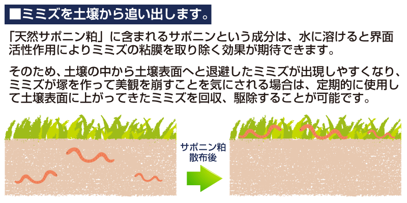 天然サポニン粕 5kg入り 肥料 芝生のことならバロネスダイレクト