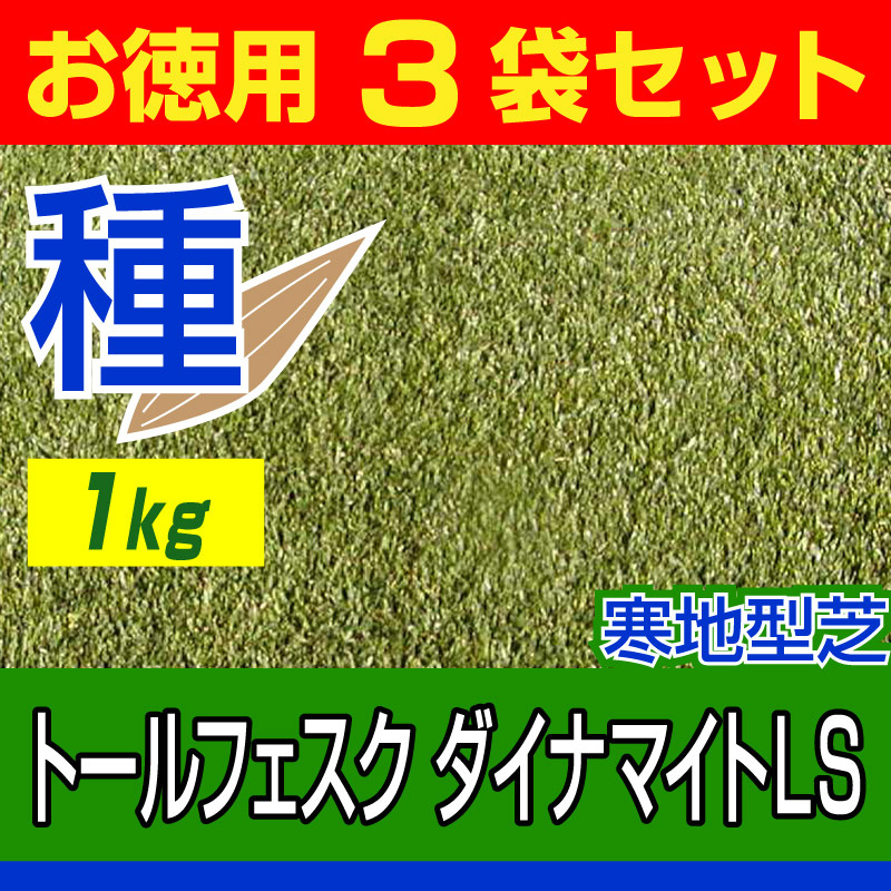 トールフェスク ダイナマイトls 1kg アリッド３代替品種 お徳用3袋セット バロネス寒地型 芝生の種 多年草 発芽適温摂氏15 25度程度です トールフェスク 芝生のことならバロネスダイレクト