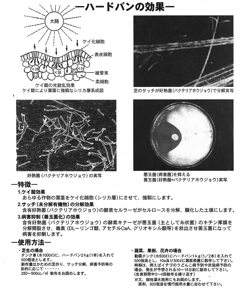 芝生用総合液肥 ハードバン サッチ分解や病害抑制の効果があるケイ酸肥料 500ml 肥料 芝生のことならバロネスダイレクト