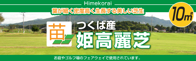 22年販売なし 産地直送 代引不可 姫高麗芝 張り芝用 つくば産 10平米 3坪分 園芸 つくば産 芝生のことならバロネスダイレクト
