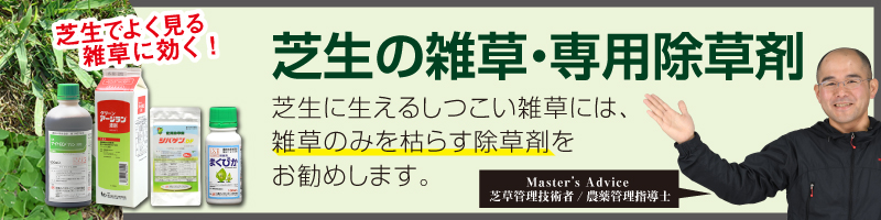 なるほど芝生の豆知識。はこちら