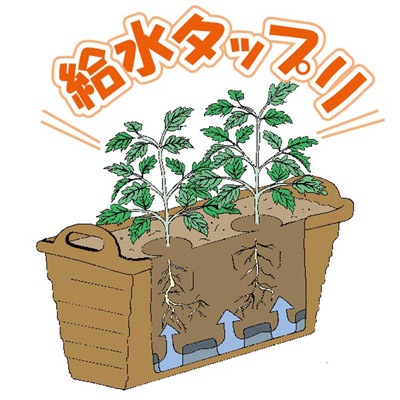 ハンディプランター スマート菜園 アイボリー 底網 給水ガイド付き 家庭菜園 芝生のことならバロネスダイレクト ハンディプランター スマート菜園 アイボリー 底網 給水ガイド付き 家庭菜園 芝生のことならバロネスダイレクト