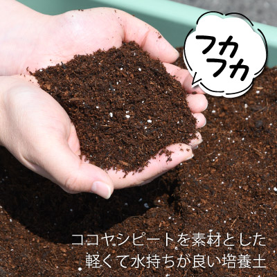 プロトリーフ 花野菜用かる い培養土 25l入り 用土 肥料 活性剤 芝生のことならバロネスダイレクト