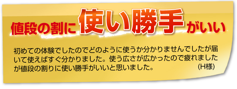 蓄圧式噴霧器 単頭式ノズル ４リットル用 日本製 芝生のことならバロネスダイレクト