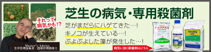 芝生の病気　専用殺菌剤