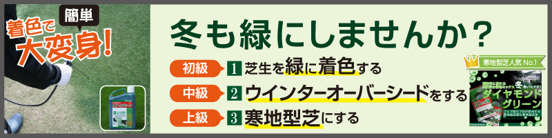 冬も緑にしませんか？