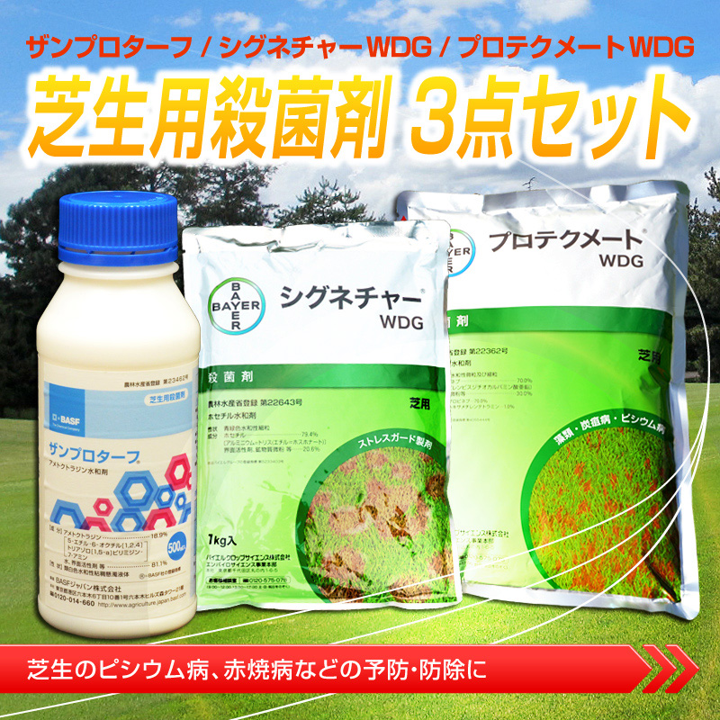 ついに入荷 芝用殺菌剤カシマン液剤 1Ｌ