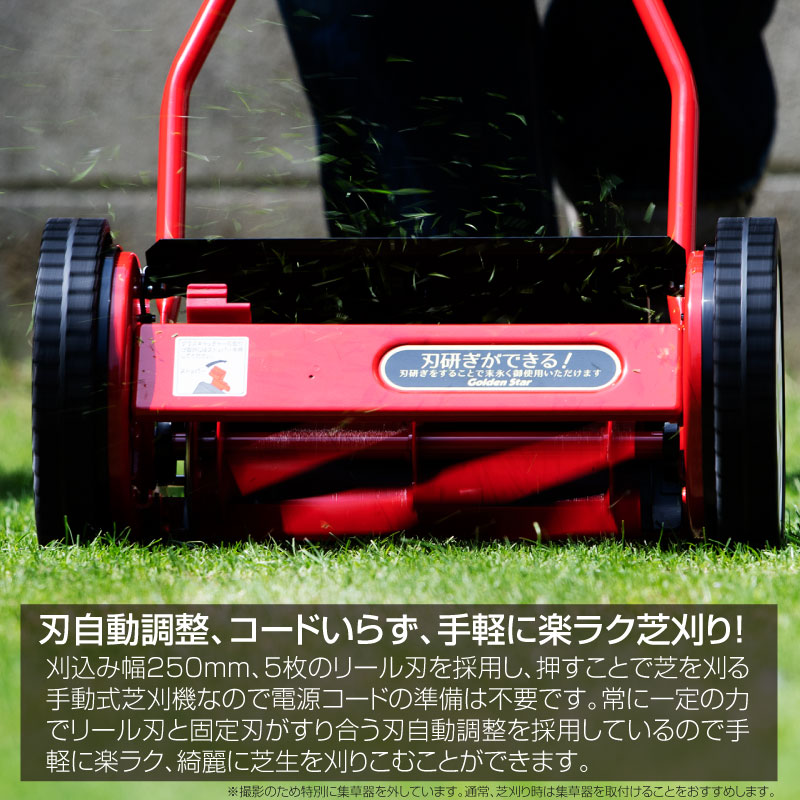 キンボシ ナイスイーグルモアー 手動式芝刈り機 刈幅25cm ゴールデンスター Gfe 2500n 本体 芝生のことならバロネスダイレクト キンボシ ナイスイーグルモアー 手動式芝刈り機 刈幅25cm ゴールデンスター Gfe 2500n 本体 芝生のことならバロネスダイレクト