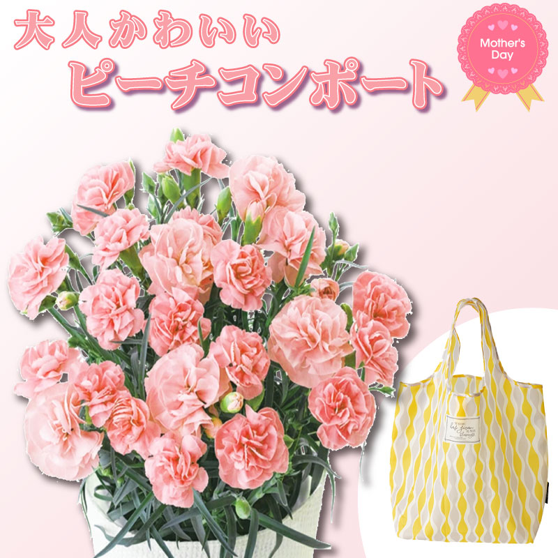 ピーチコンポート カーネーション エコバッグセット 母の日プレゼント用ラッピング付 5号鉢植え 21年 花 送料無料 カーネーション 芝生のことならバロネスダイレクト ピーチコンポート カーネーション エコバッグセット 母の日プレゼント用ラッピング付 5号鉢植え 21年 花 送料無料 カーネーション 芝生のことならバロネスダイレクト