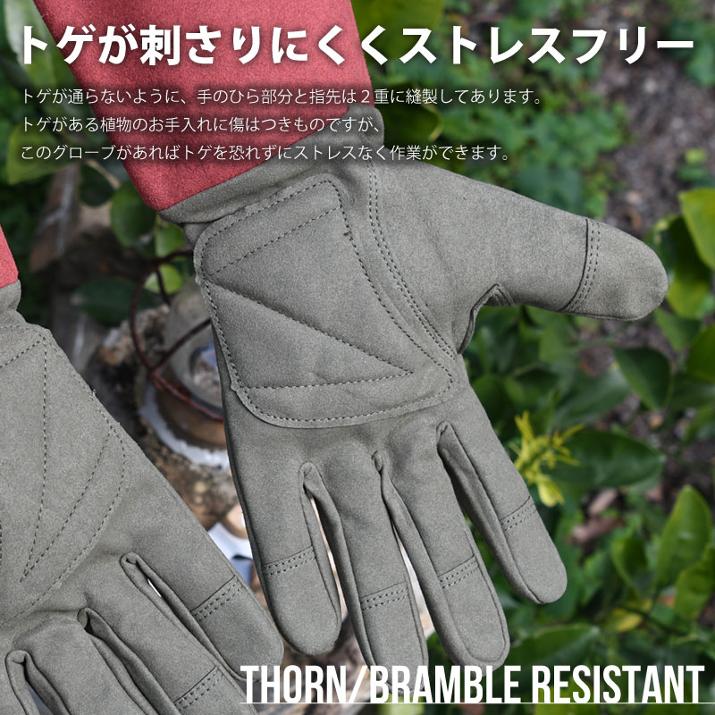 ガーデングローブ ウエストカウンティーローズ 選べる2色×2サイズ ルビー モス Mサイズ Lサイズ ギフト ガーデングローブ  芝生のことならバロネスダイレクト