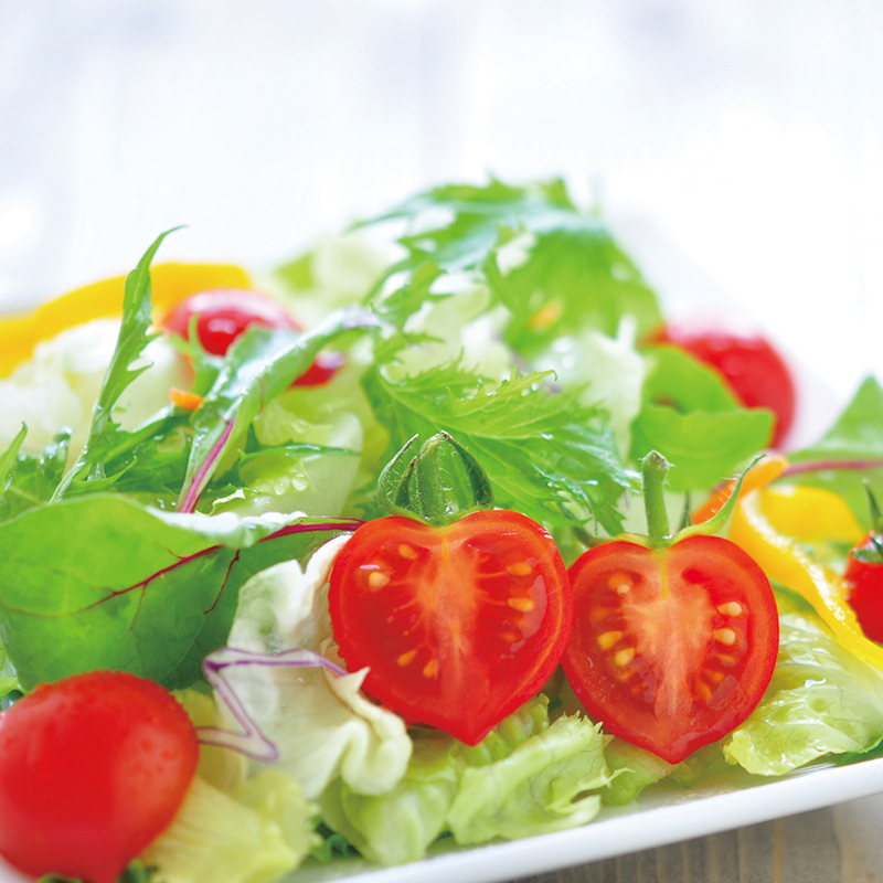種から育てるハート型のミニトマト ハートマト 栽培セット ギフト 花 ハーブ 野菜の種 芝生のことならバロネスダイレクト
