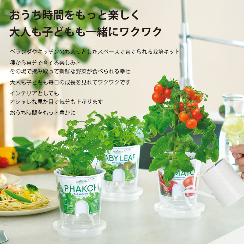 780円 人気商品の 野菜 栽培セット 選べる２個セット エコットM 送料込