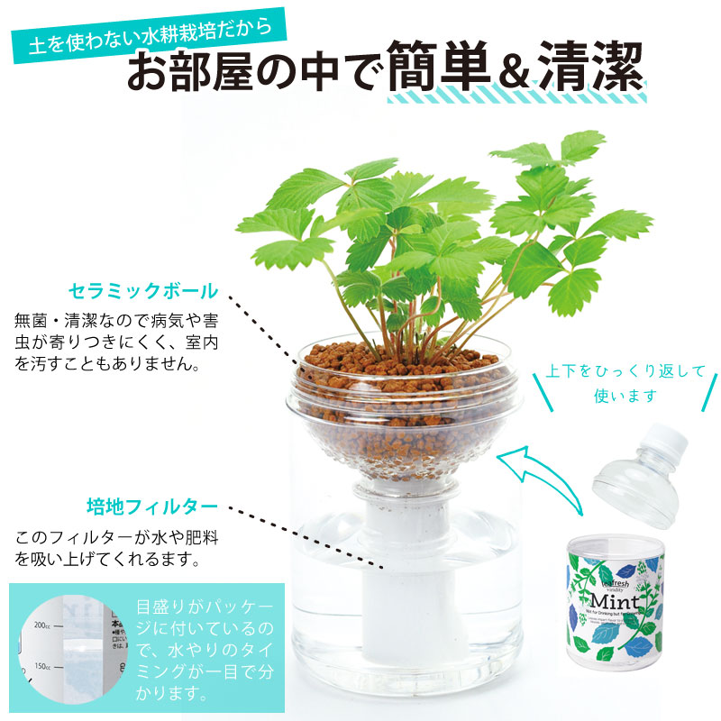 土を使わない水耕栽培セット 育てるグリーンペット ハーブ 選べる3種類 ギフト 花 ハーブ 野菜の種 芝生のことならバロネスダイレクト