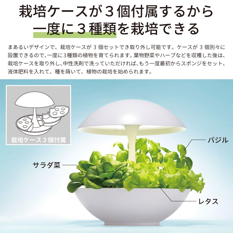 灯菜 LED水耕栽培器 AKARINA01 お試し用種(サラダ菜)付 お試し用液肥付 家庭菜園