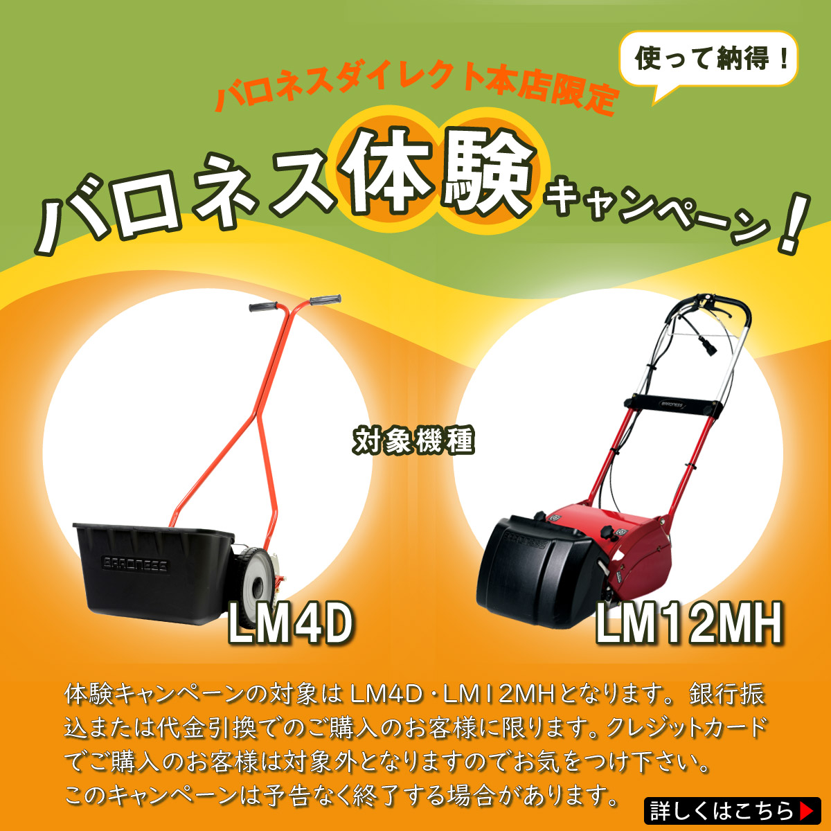 バロネス体験キャンペーンの詳細について