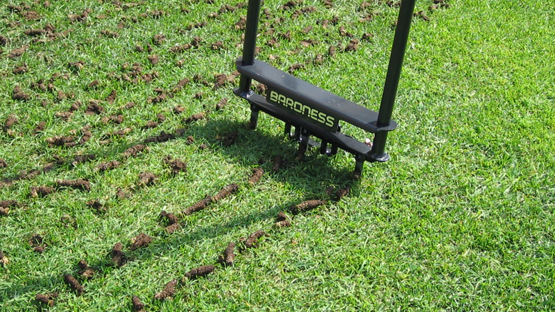 高温過湿の固結土壌はng 芝生を湿害 Wet Wilt から守ろう 芝生のことならバロネスダイレクト