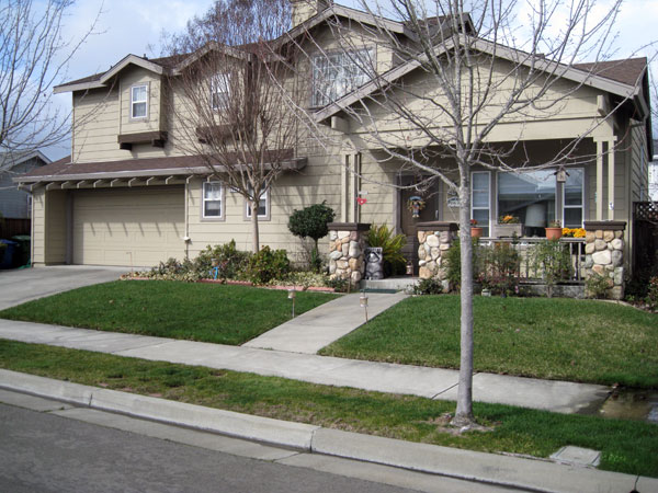 お庭拝見 In カリフォルニア ペタルーマ 芝生のことならバロネスダイレクト お庭拝見 In カリフォルニア ペタルーマ 芝生のことならバロネスダイレクト