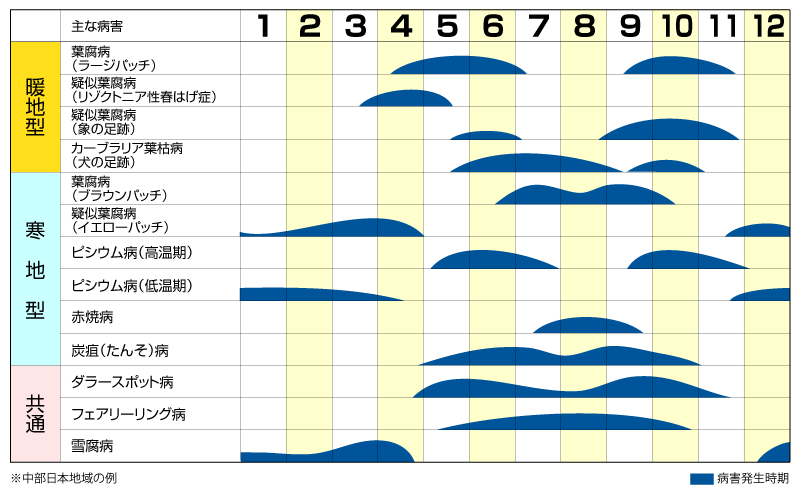 主要な伝染性病害の発生時期 芝生のことならバロネスダイレクト