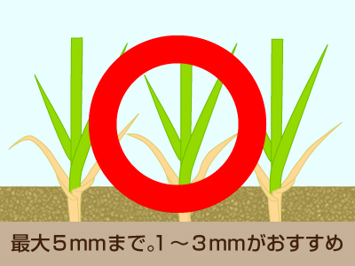 へ っ だからなんだ芝生に目土 目砂 芝生のことならバロネスダイレクト