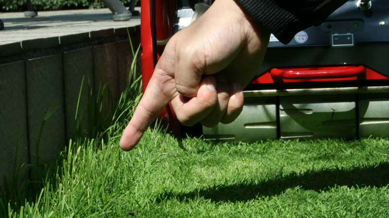 お庭スッキリ キワのお手入れのしかた 芝生のことならバロネスダイレクト