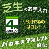 店長直伝！だれでも簡単！芝生のお手入れ　4月
