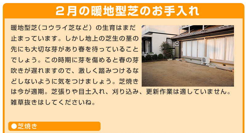 だれでも簡単 芝生のお手入れ 2月 芝生のことならバロネスダイレクト だれでも簡単 芝生のお手入れ 2月 芝生のことならバロネスダイレクト