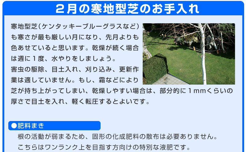 だれでも簡単 芝生のお手入れ 2月 芝生のことならバロネスダイレクト だれでも簡単 芝生のお手入れ 2月 芝生のことならバロネスダイレクト