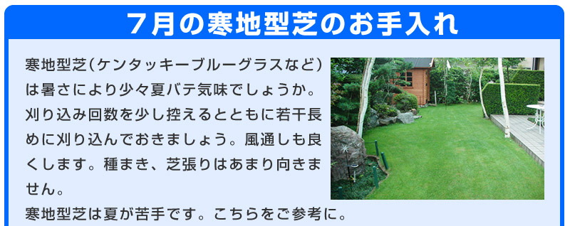 だれでも簡単 芝生のお手入れ 7月 芝生のことならバロネスダイレクト だれでも簡単 芝生のお手入れ 7月 芝生のことならバロネスダイレクト