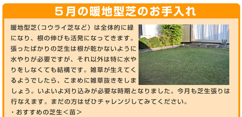 だれでも簡単 芝生のお手入れ 5月 芝生のことならバロネスダイレクト