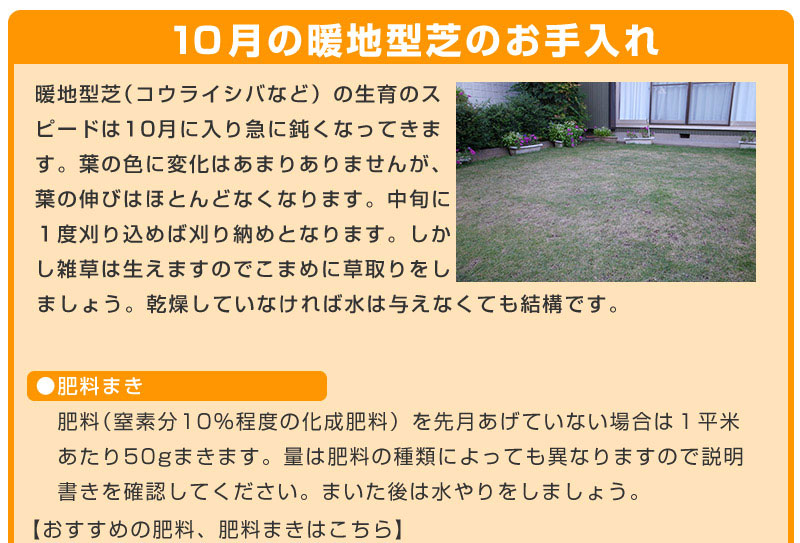 だれでも簡単 芝生のお手入れ 10月 芝生のことならバロネスダイレクト だれでも簡単 芝生のお手入れ 10月 芝生のことならバロネスダイレクト
