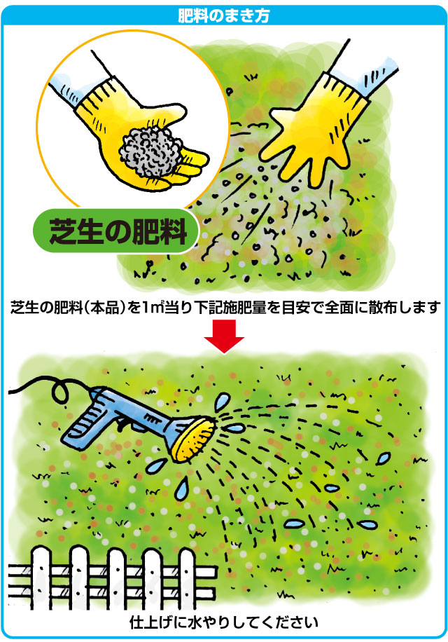 ゴルフ場も太鼓判!バロネス 芝生の肥料 5kg入り 緩効性IB窒素入り化成肥料 細粒タイプ 肥料 芝生のことならバロネスダイレクト ゴルフ場も太鼓判!バロネス 芝生の肥料 5kg入り 緩効性IB窒素入り化成肥料 細粒タイプ 肥料 芝生のことならバロネスダイレクト