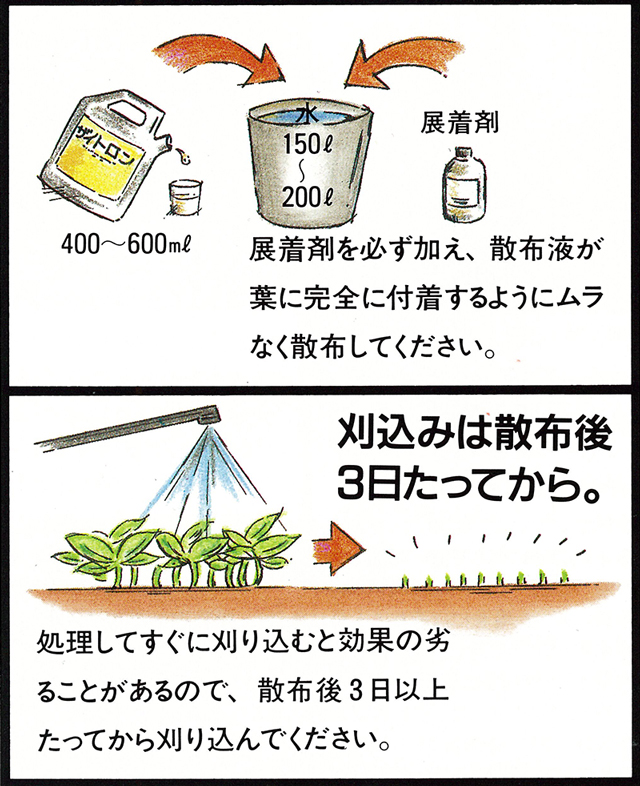 ゴルフ場も使用の芝生用除草剤 ザイトロンアミン液剤 500ml入り 除草剤 芝生のことならバロネスダイレクト