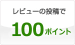 レビュー投稿で100ポイント付与